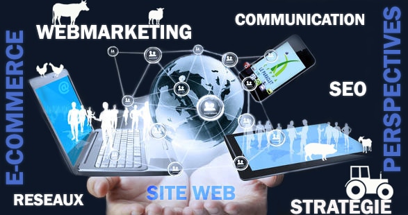 , Internet-Formation : agence web
