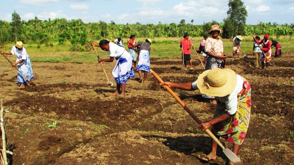 , Madagascar lance une stratégie nationale de formation agricole et rurale sur 12 ans